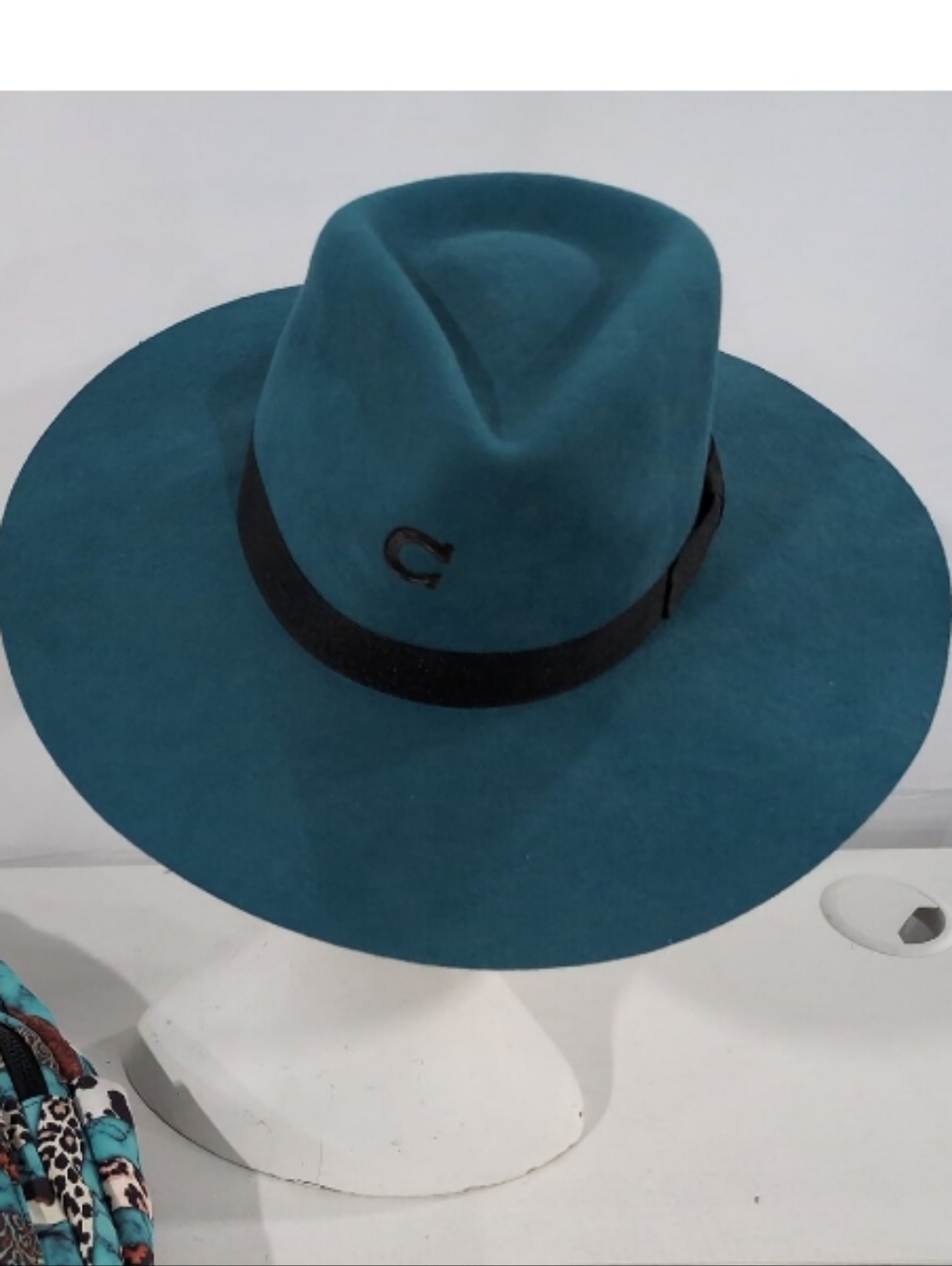 Charlie 1 Horse Highway Hat - Teal